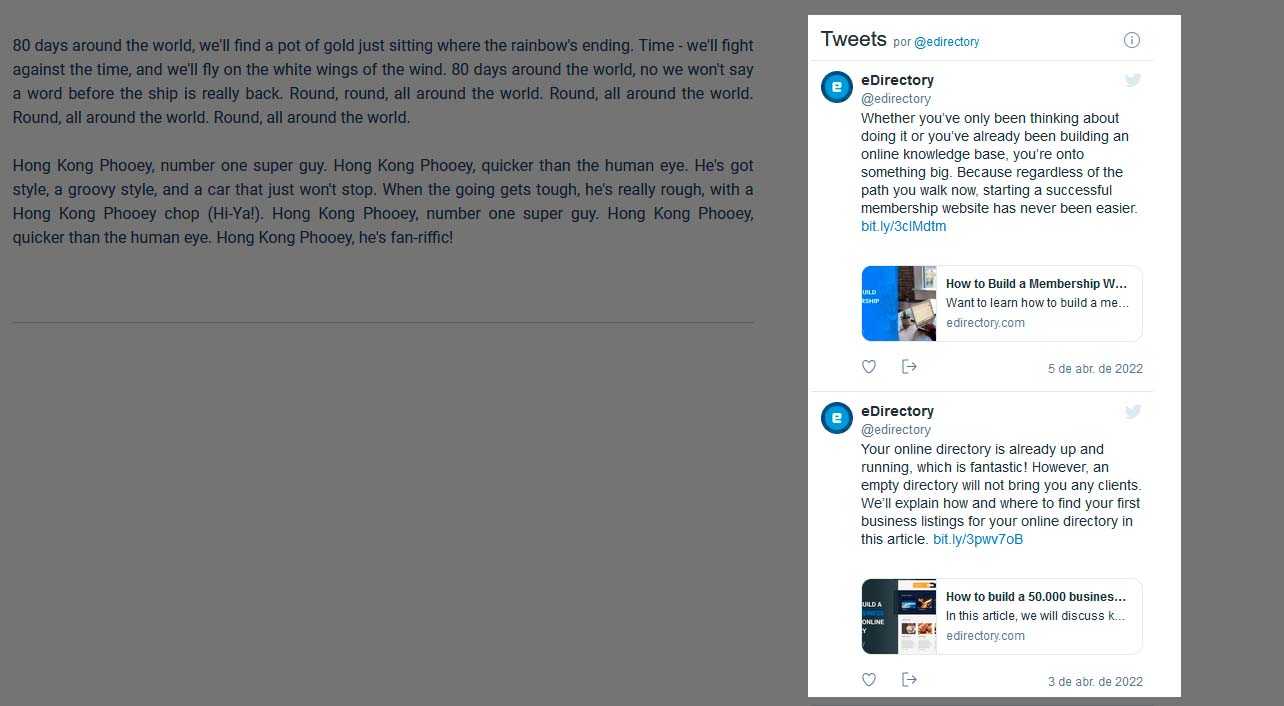 eDirectory - Listing twitter feed detail